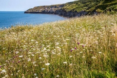 Filey cliffs