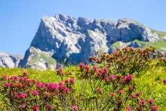Gehren Ridge
