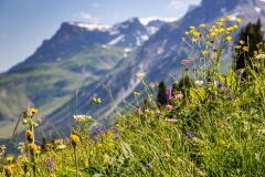 Austrian Alps