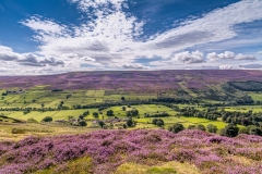 Swaledale