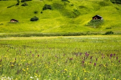 Tannberg Austrian Alps