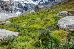 Val Roseg, Swiss Alps