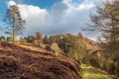 Dalby Forest, North Yorkshire