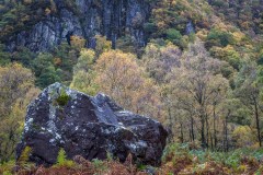 Cummacatta Wood, Borrowdale