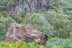 Cummacatta Wood, Borrowdale