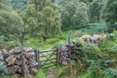 Cummacatta Wood, Borrowdale