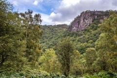Cummacatta Wood, Grange