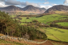 Holme Wood Loweswater