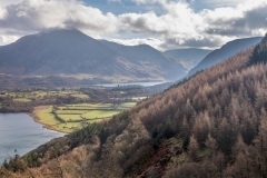 Holme Wood, Loweswater