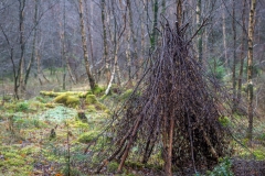 Holme Wood, Loweswater