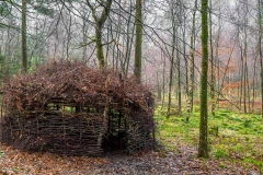 Holme Wood, Loweswater