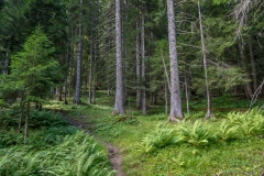 Mont de Grange nature reserve, Chablais Alps