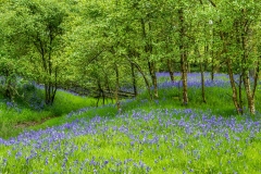 Hoff Lunn, Eden Valley