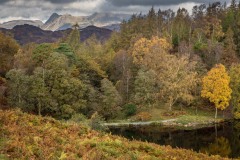 Tarn Hows