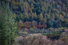 Yew Tree Tarn