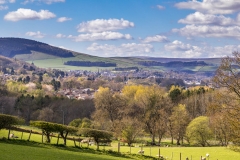 Abbotsford walk
