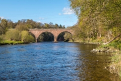 River Tweed,  Abbotsford