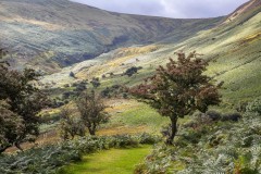 Aber-Falls-44