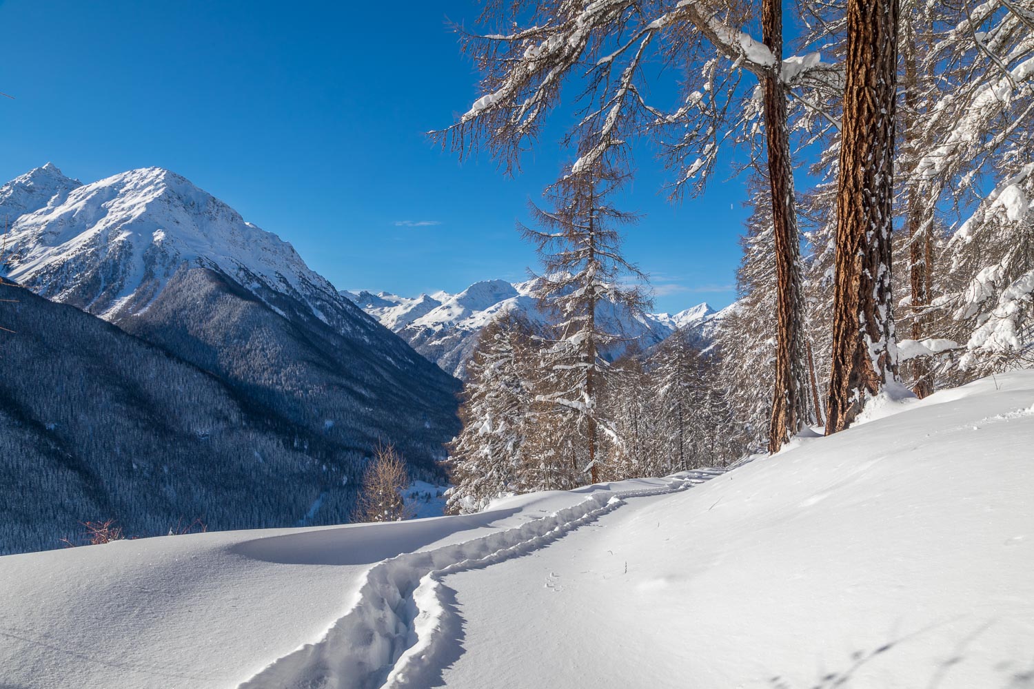 Hotel Meisser walk, Guarda, snowshoes Hotel Meisser walk, Guarda, snowshoes