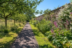 Acorn Bank garden
