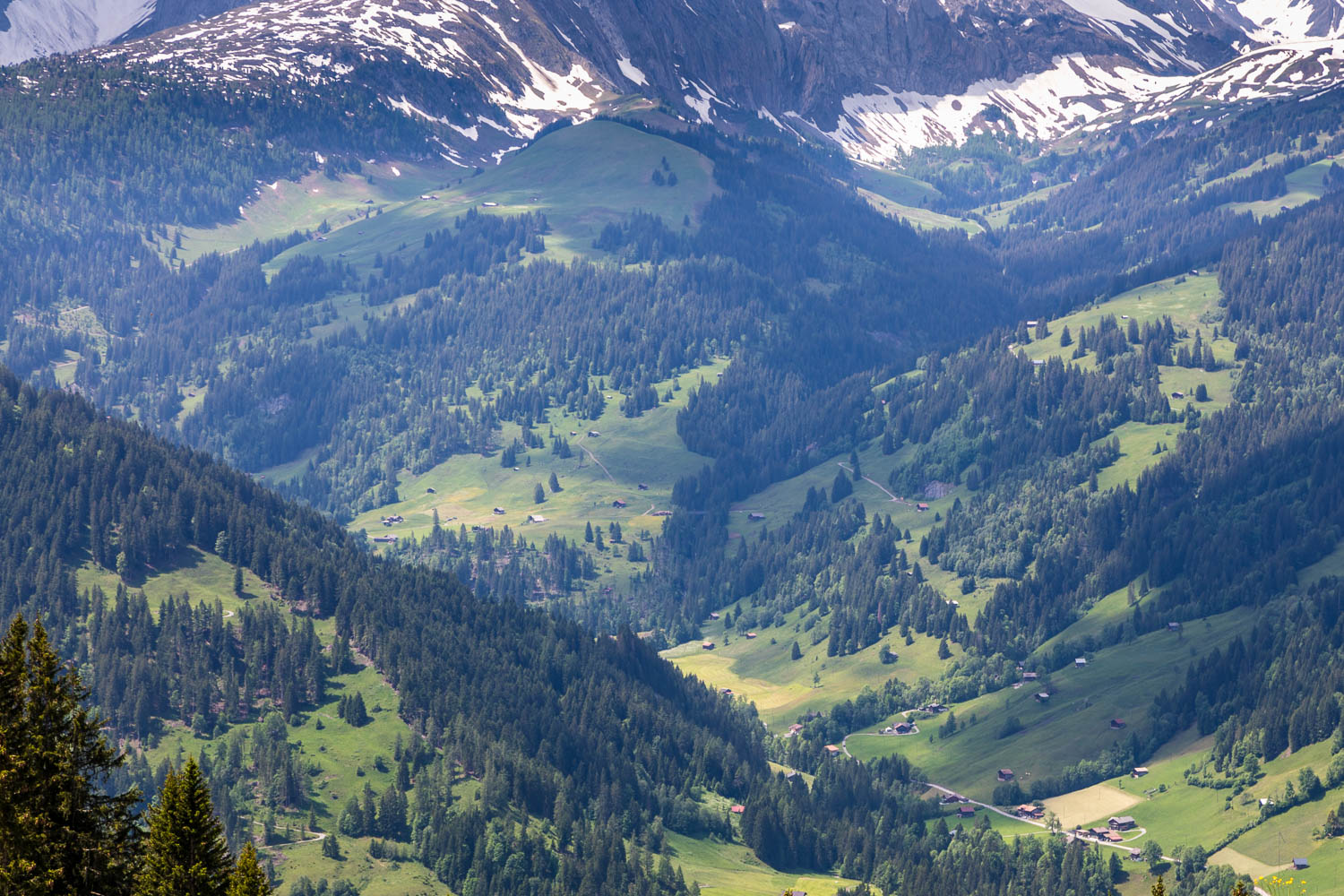 Simmental Valley