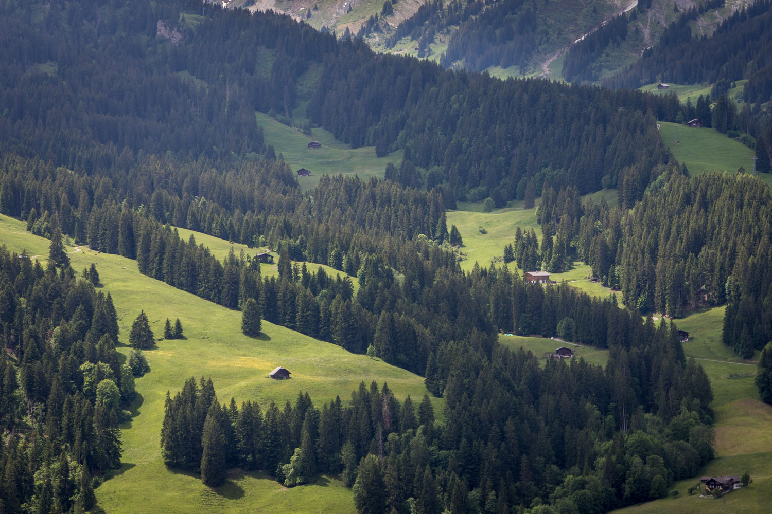 Simmental Valley
