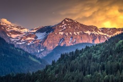 Simmental Valley