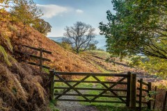 Aira Force walk