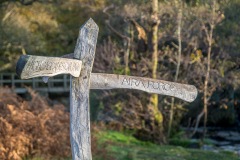 Aira Force walk