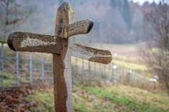 Aira Force sign