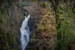 Aira Force