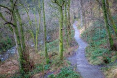 Aira Force walk