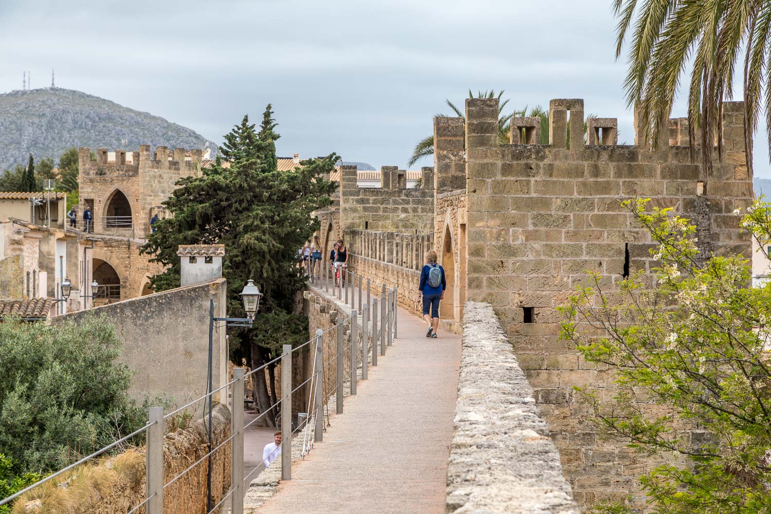 Porta de Mallorca Alcudia