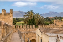 Alcudia walk