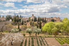 Alhambra,  Generalife Gardens