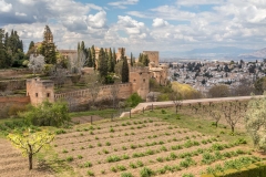 Alhambra,  Generalife Gardens