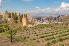 Alhambra,  Generalife Gardens