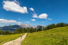 Alpe de Siusi walk