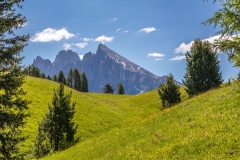 Alpe de Siusi meadows