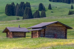 Alpe de Siusi barns