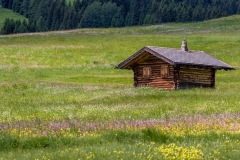 Alpe de Siusi walk