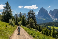 Alpe de Siusi walk