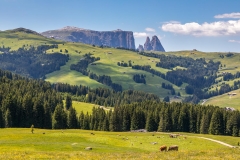 Alpe de Siusi walk
