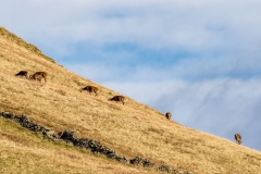 Angletarn Pikes walk