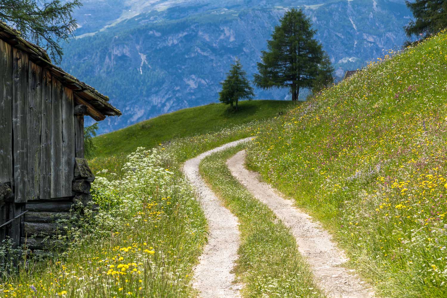 Dolomites walks