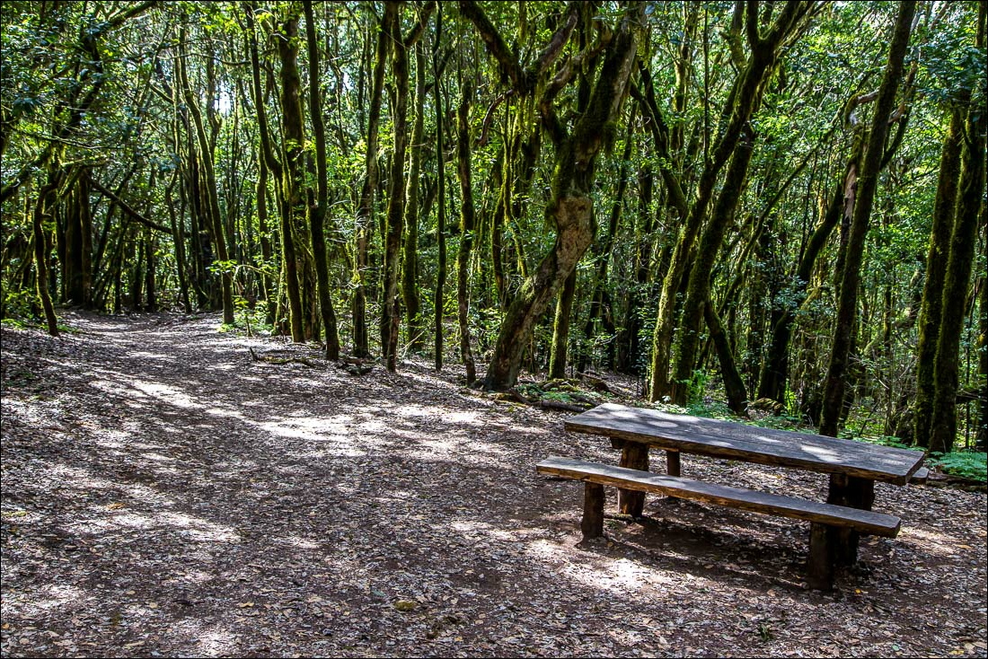 Cañada de Jorge trail