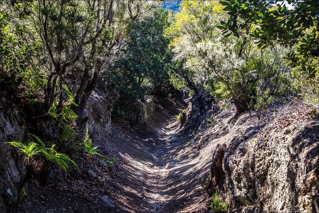 Cañada de Jorge trail