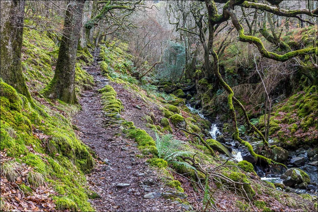 Falcon Crag walk, Lake District