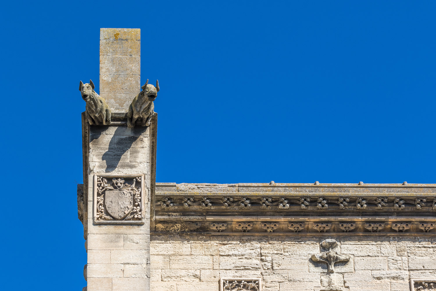 Avignon, Temple St Martial gargoyles