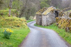 Bampton Grange walk
